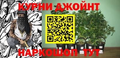 не бодяженный Гусев