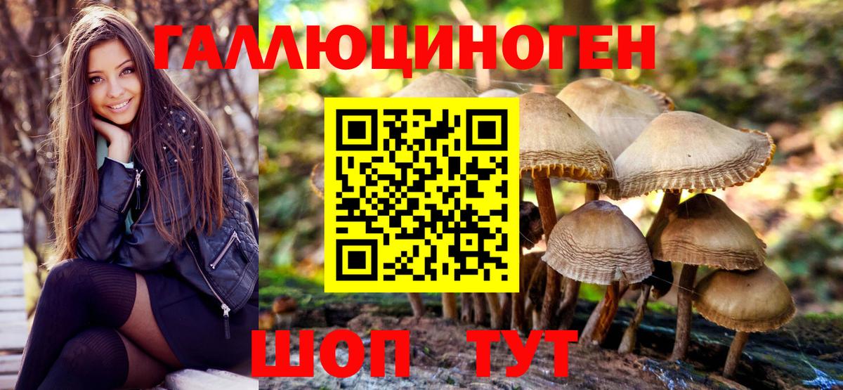 Галлюциногенные грибы прущие грибы  Вход с VPN  Нефтекумск 